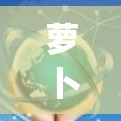 萝卜vpn下载