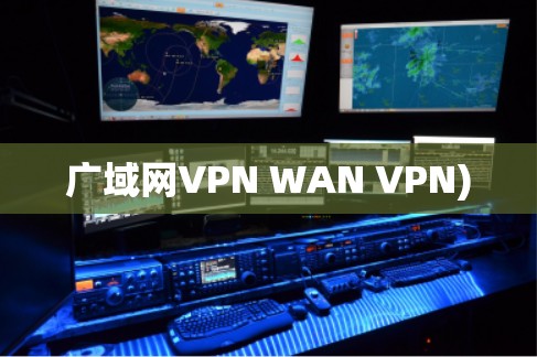 广域网VPN WAN VPN)