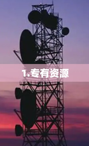 1.专有资源
