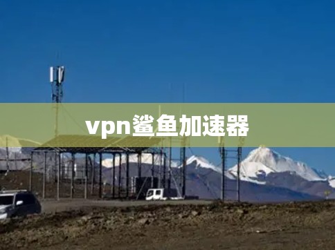 vpn鲨鱼加速器